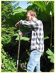 Man leaning on a garden tool, surrounded by lush green plants.
