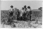 [Six members of Slebzak family in field, five of whom are working on Bottomley's farm near Baltimore, Maryland]