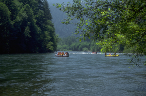 McKenzie River