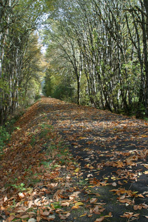 Row River Trail