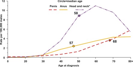 This line chart shows that the median age at diagnosis (the age at which half were older and half were younger), is 68 for HPV-associated penile cancer, 57 among men for HPV-associated anal cancer, and 58 among men for HPV-associated head and neck cancers.