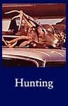 Hunting (ARC ID 546093)