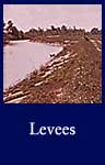 Levees (ARC ID 552813)