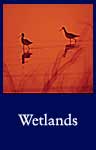 Wetlands (ARC ID 547726)