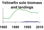 Yellowfin sole biomass and landings **click to enlarge**