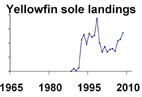 Yellowfin sole landings **click to enlarge**