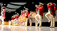 The Old Guard Fife and Drum Corps is now getting ready for its next big event on January 20th when they will entertain thousands of visitors at the inauguration of the 44th President of the United States Barack Obama