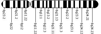 Ideogram of chromosome 8