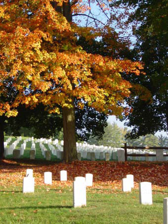 White headstones beneath an autumn tree.