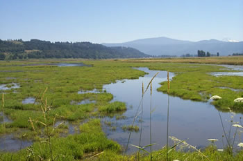 Refuge from around the region. Photo USFWS.