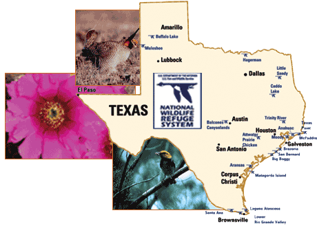 texas refuge map
