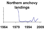 Northern anchovy landings **click to enlarge**