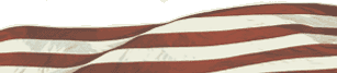 Support Graphic: American Flag