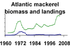 Atlantic mackerel biomass and landings **click to enlarge**