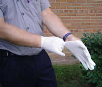 Photograph of worker donning latex gloves