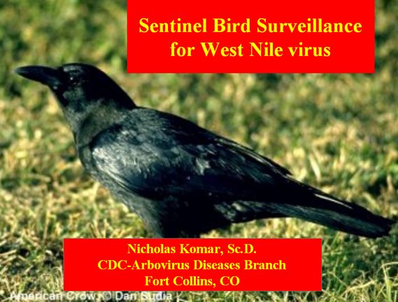 "Sentinel Bird Surveillance for West Nile Virus," Nicholas Komar, Sc. D., CDC Arbovirus Diseases Branch, Fort Collins, Colorado