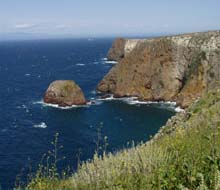 Channel Islands National Marine Sanctuary