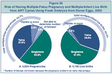 Figure 38: Risk of Having Multiple-Fetus Pregnancy and Multiple-Infant Live Birth from ART Cycles Using Fresh Embryos from Donor Eggs, 2002.