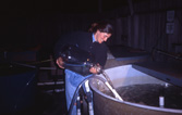 Kathi Lefebvre, Fisheries Scientist, NOAA