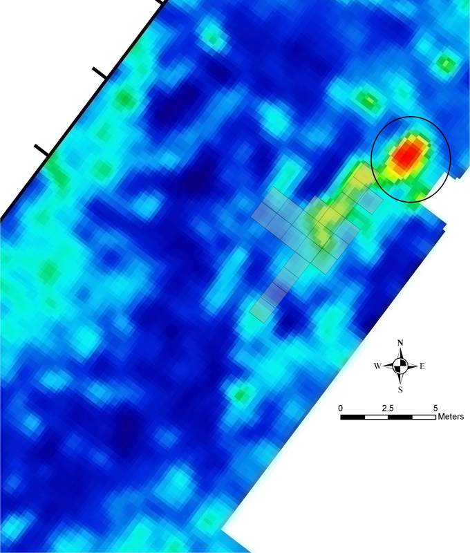 Figure Anomaly 2-3