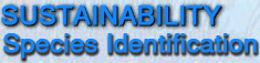 Sustainability Species Identication Title