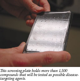 A screening plate used by the NIH Office of Chemical Genomics to analyze more than 1,500 molecules that could be used to treat diseases, including cancer.