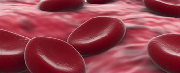 Foto: glóbulos rojos