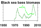 Black sea bass biomass **click to enlarge**