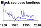 Black sea bass biomass **click to enlarge**