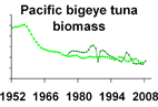 Pacific bigeye tuna biomass **click to enlarge**