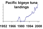 Pacific bigeye tuna landings **click to enlarge**