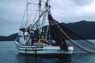 Photo courtesy of NMFS-AKR and State of Alaska