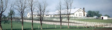 Eisenhower Show Barn