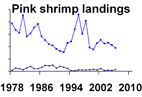 Pink shrimp landings **click to enlarge**
