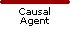 Causal Agent