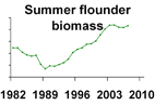 Summer flounder biomass **click to enlarge**