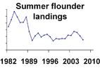 Summer flounder landings **click to enlarge**