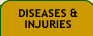 Diseases & Injuries