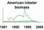 American lobster biomass **click to enlarge**