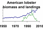 American lobster biomass and landings **click to enlarge**