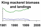 King mackerel biomass and landings **click to enlarge**