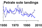 Petrale sole landings **click to enlarge**