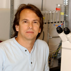 Photo of Dr. Miguel  Holmgren, Molecular Neurophysiology Unit, NINDS