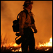 Photo: Fire fighter