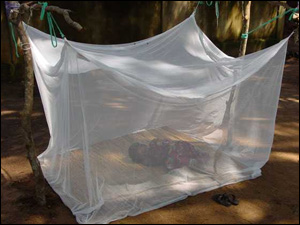 Photo: Child in Kenya sleeps in a malaria bed net. Photo by courtesy of Allen Hightower.