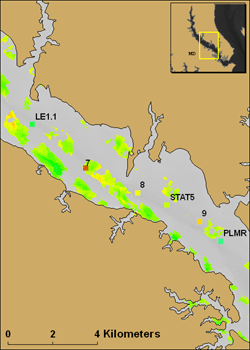 Graphic of AISA data collected in the study area.