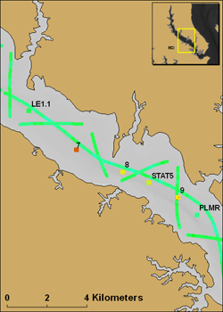 Graphic of SAS III data collected in the study area.