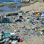 beach with trash