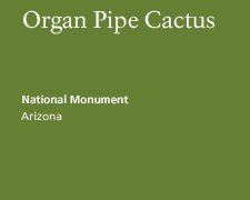 Organ Pipe Cactus National Monument