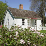 White cottage with flowering bush in the foreground.